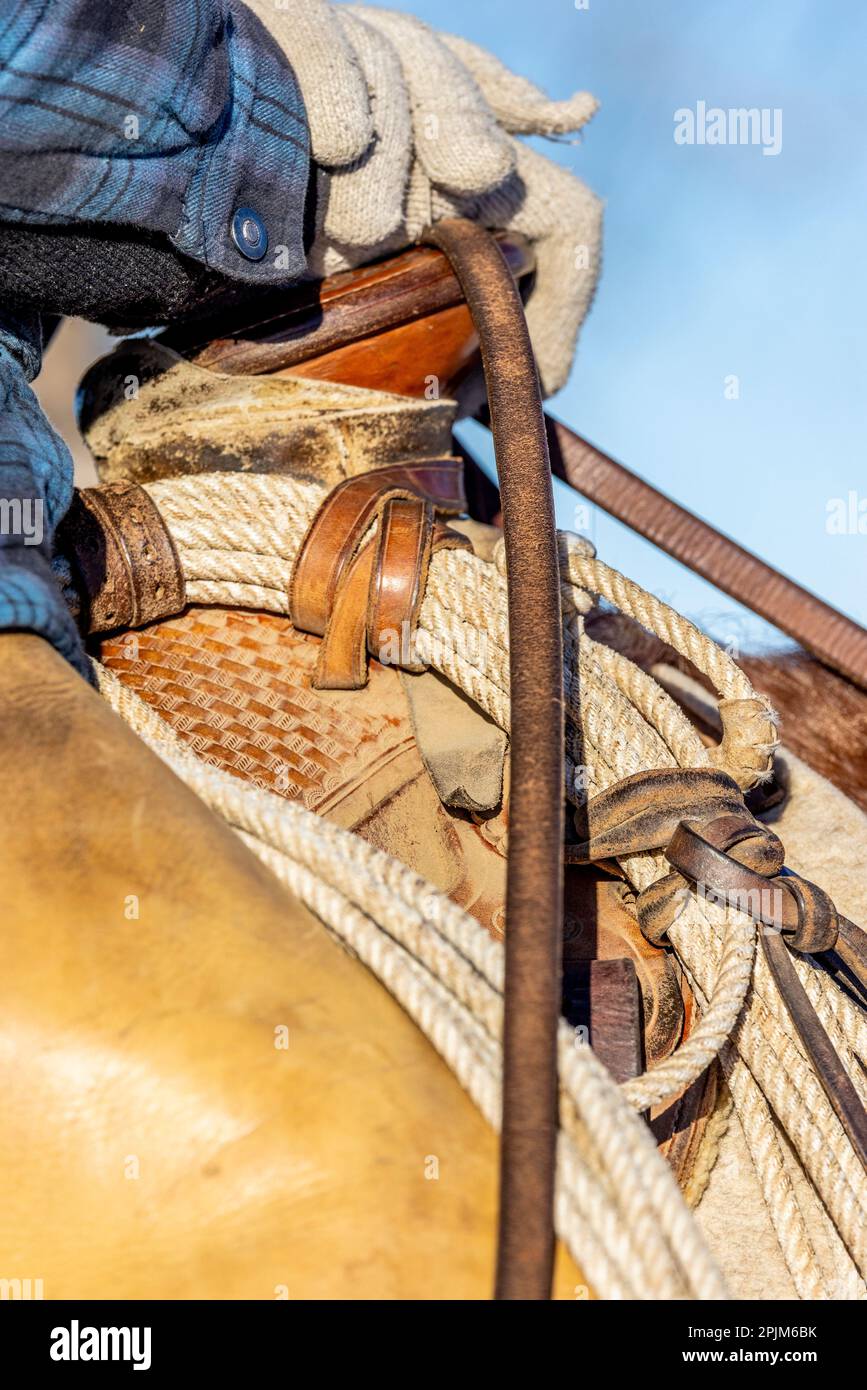 American west saddle horse hi-res stock photography and images - Alamy