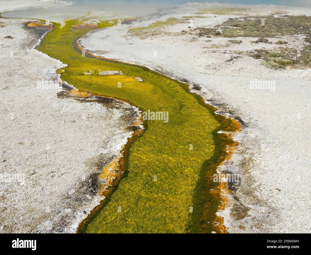 Wyoming, Yellowstone National Park. Wall Pool outflow with bacteria mat, Upper Geyser Basin Stock Photo