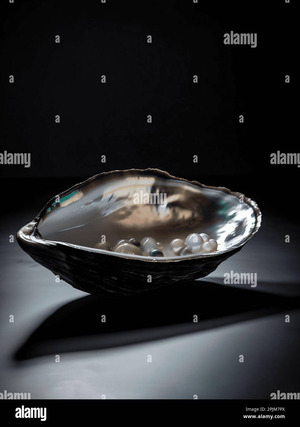 Smooth shell hi-res stock photography and images - Alamy