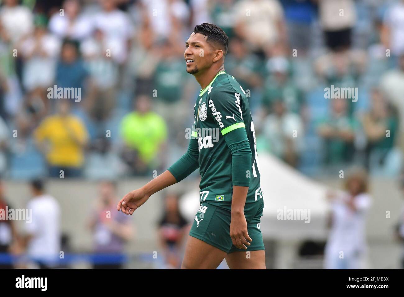 Rony palmeiras hi-res stock photography and images - Page 5 - Alamy