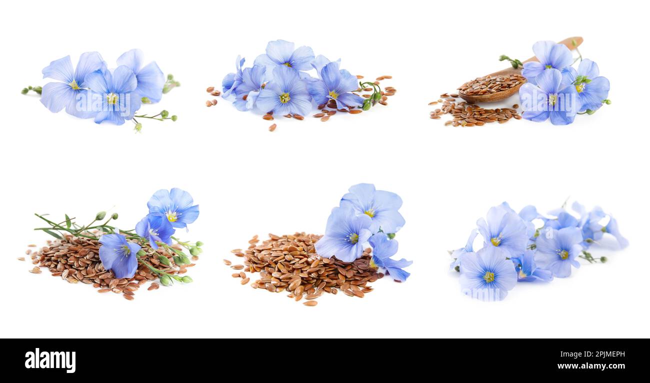 Set with flax seeds and flowers on white background. Banner design ...