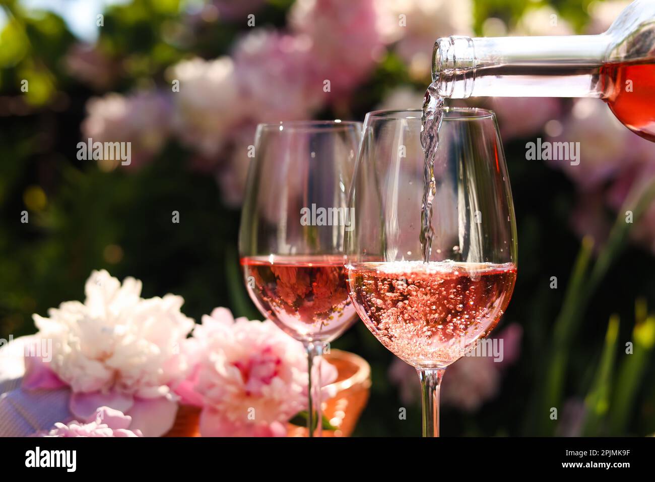Pouring rose wine into glass in garden, closeup Stock Photo - Alamy