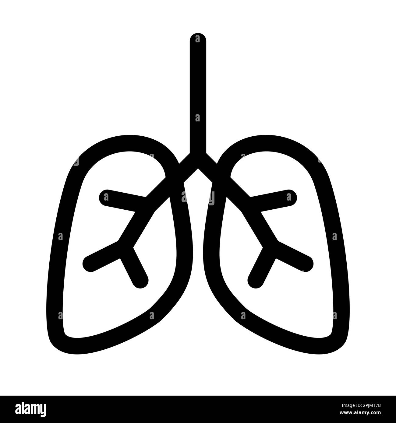 Lungs organ line icon. Lungs symbol or sign. Human organ symbol, sign