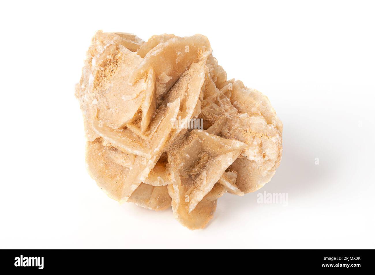 Desert rose, crystal cluster from Tunisia, front view. Also known as rose rock, Sahara, selenite, gypsum and barite rose. Rose-like formation. Stock Photo