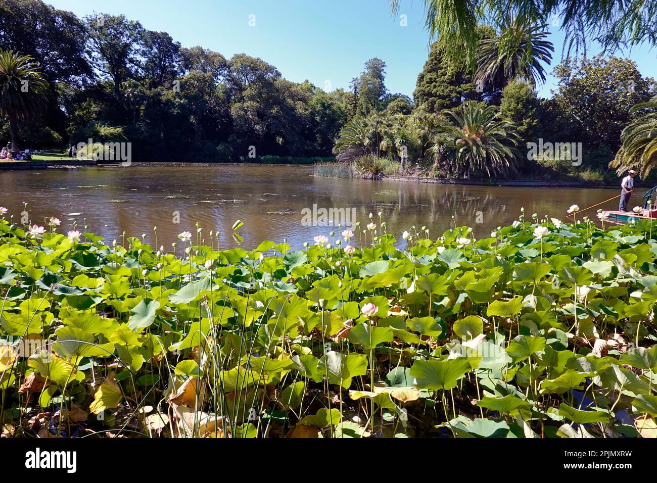 Royal Botanic Gardens, Melbourne, Australia Stock Photo Alamy