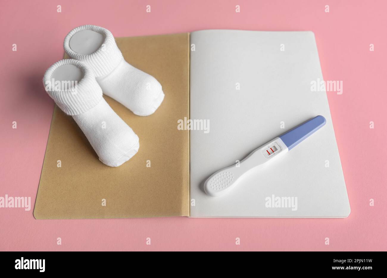 Filling out a notebook during pregnancy. Place for text Stock Photo Alamy