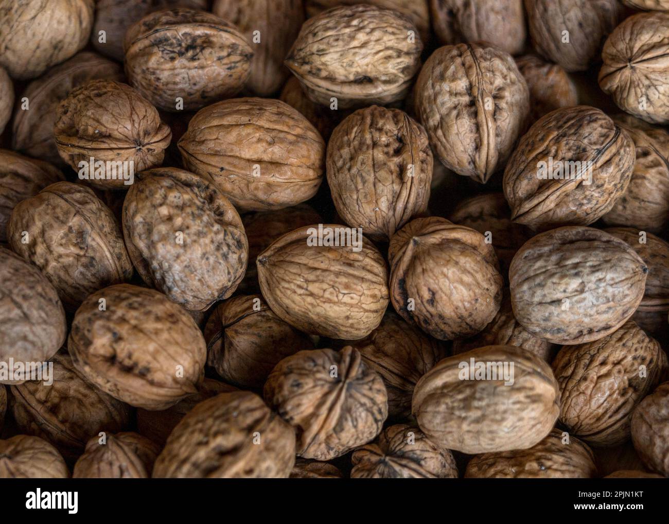 top-down view of many organic walnuts just after harvesting Stock Photo