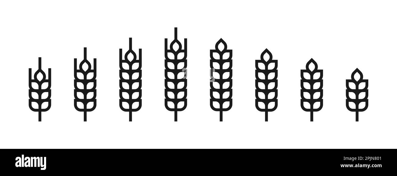 Outline wheat icon or wheat symbol. Barley spike or corn ear. Bakery, bread or agriculture logo concept. Line grain sign. Vector illustration Stock Vector