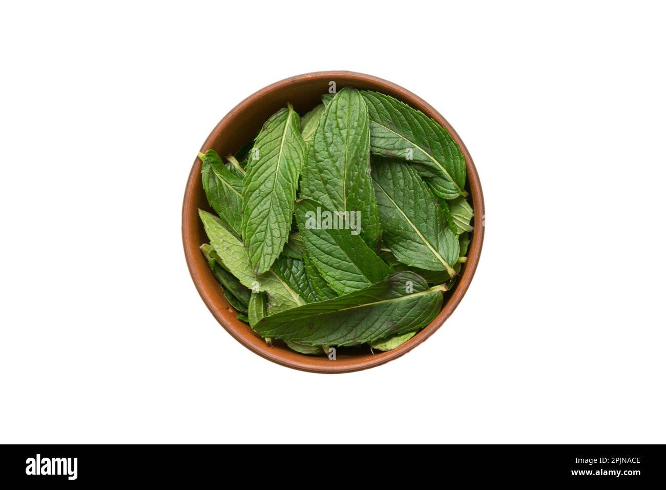 Natural Mint Essential Oil in a Glass Bottle. organic cosmetics with