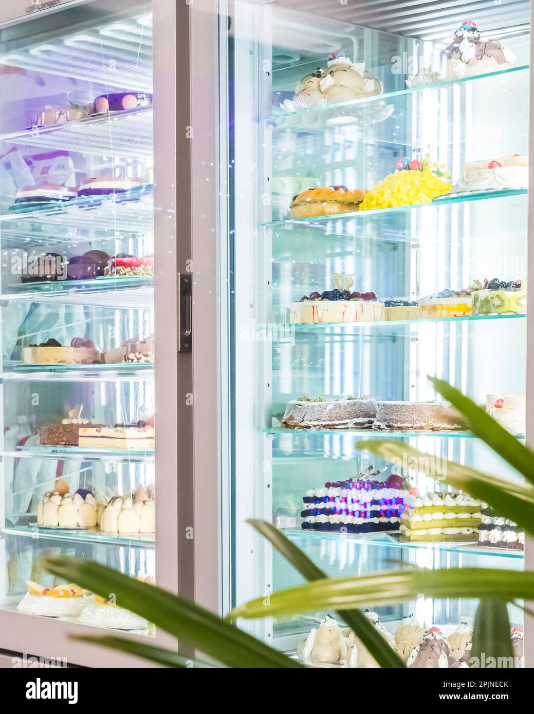 Varieties of homemade cakes in a refrigerator in a pastry shop Stock