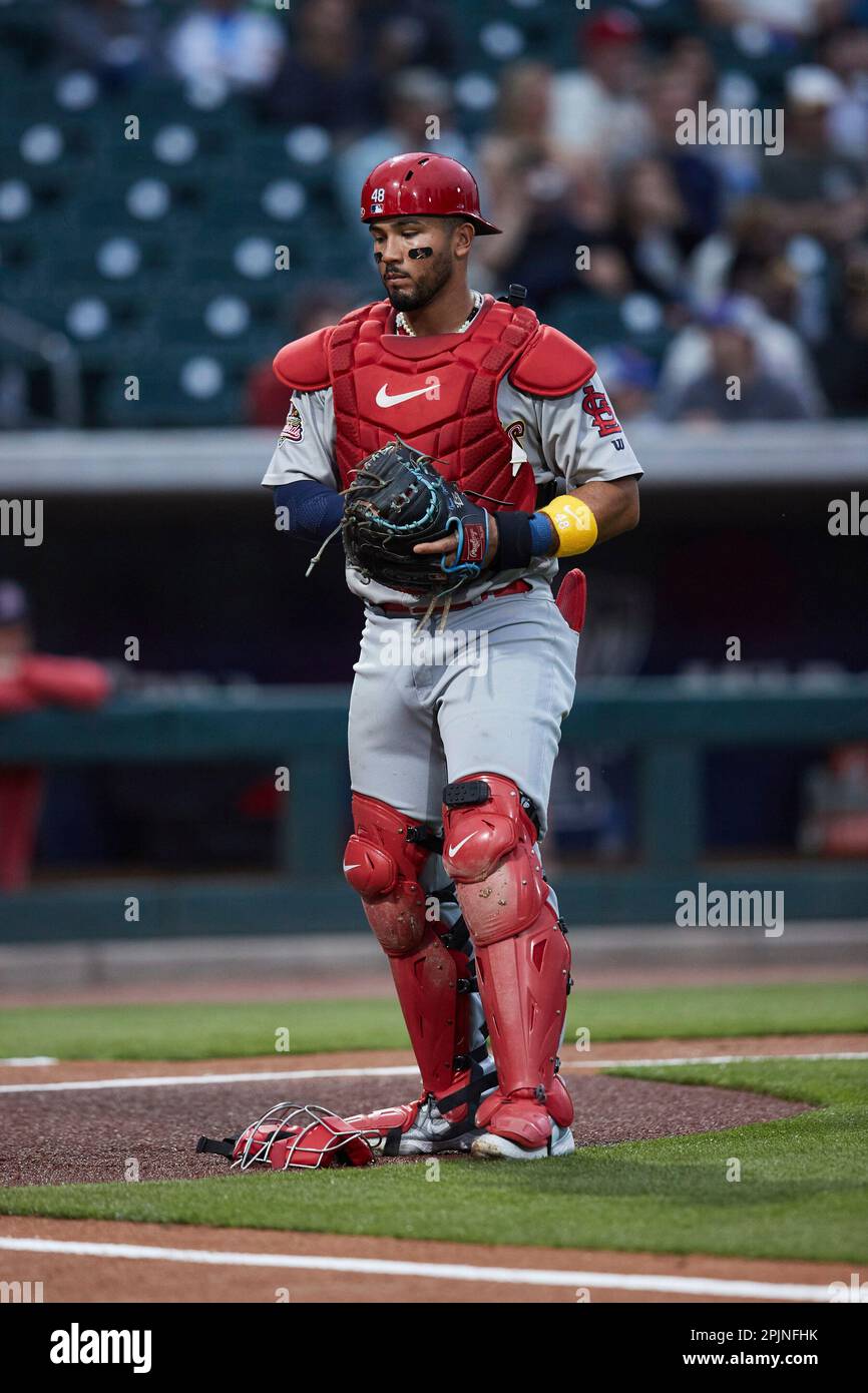 Memphis redbirds hi-res stock photography and images - Alamy