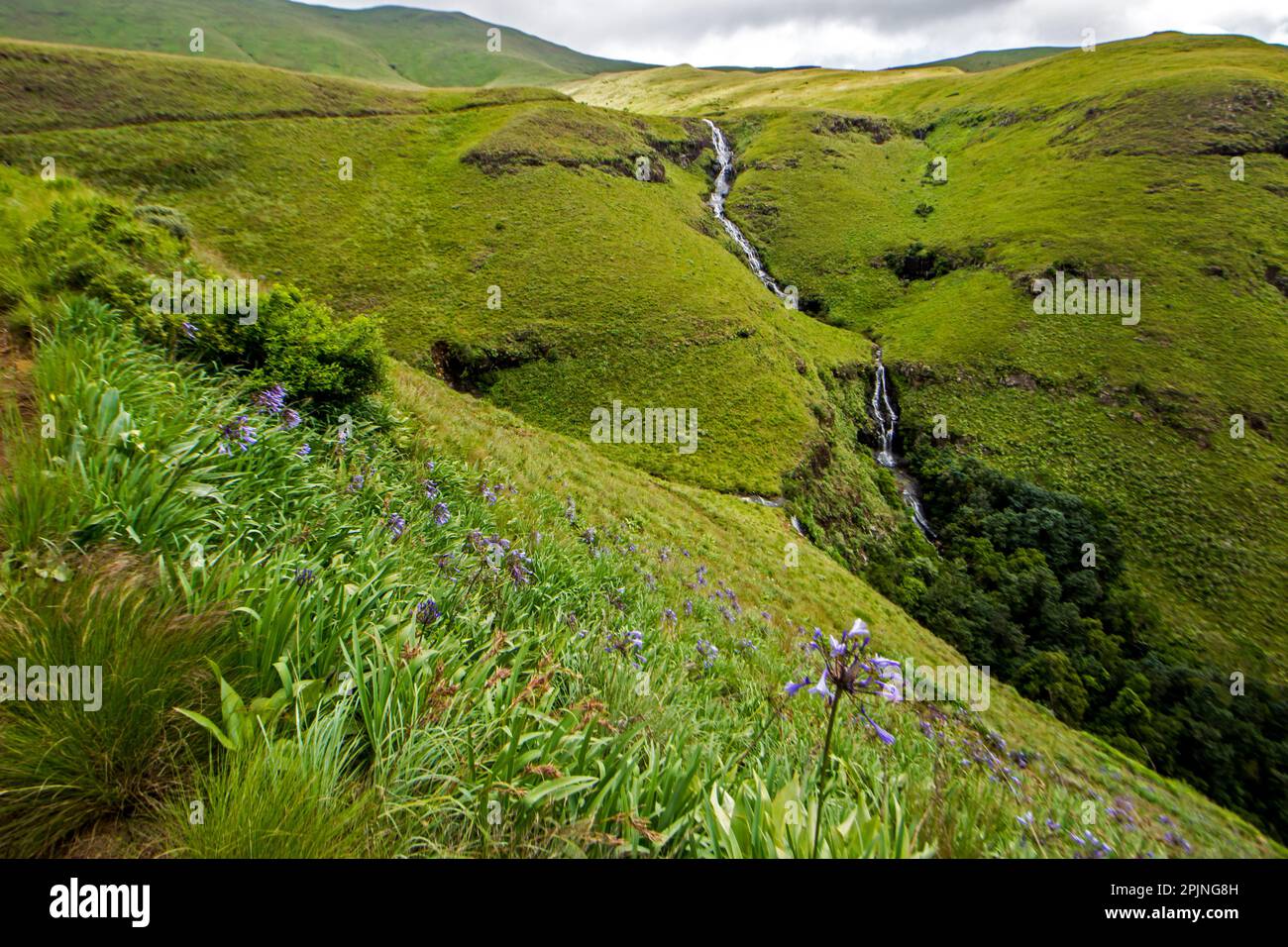 Picturesque view of the Mahai falls, with wild agapanthus flowering in the foreground. Stock Photo