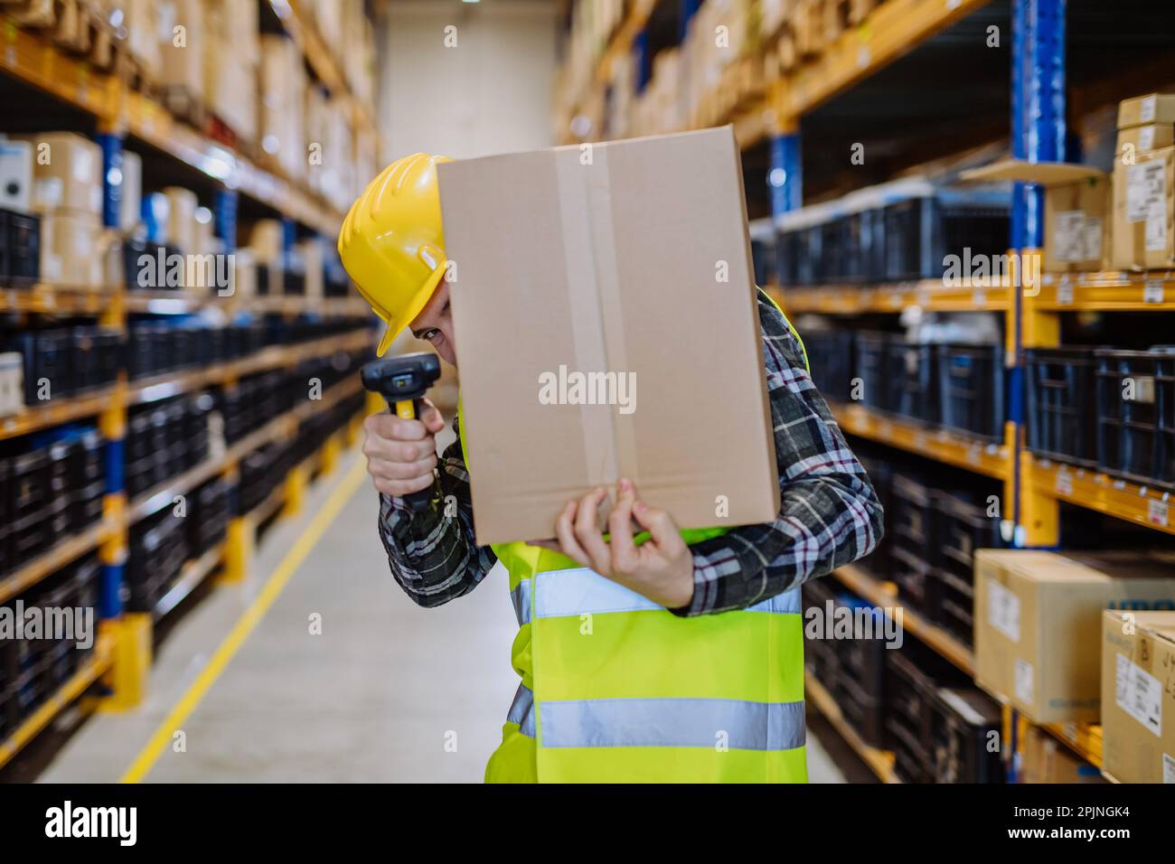 Warehouse worker stocking goods in a warehouse Stock Photo Alamy