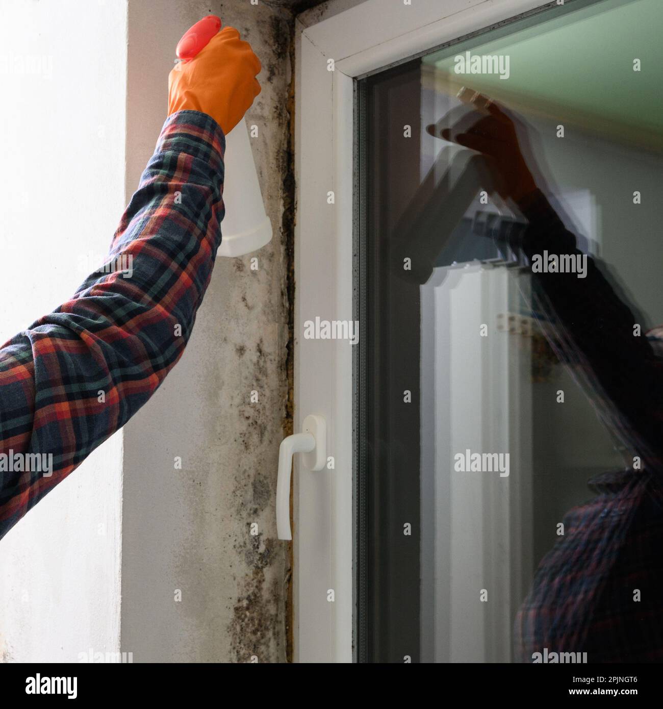 Mold and fungus on a plastic window, a woman removes mold on a window