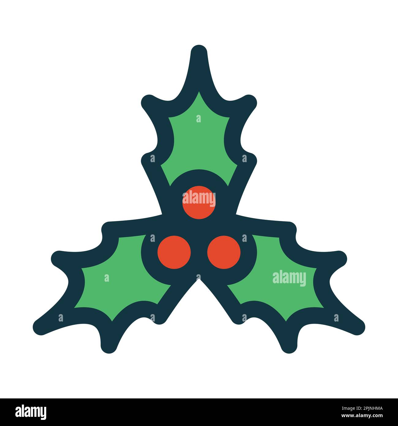 Shrub holly vector vectors hi-res stock photography and images - Alamy