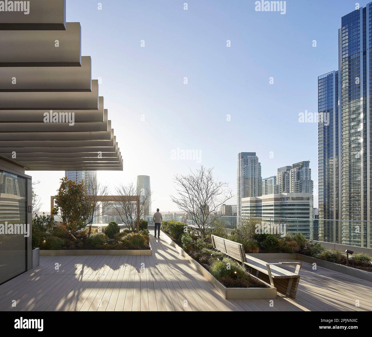 Landscaped rooftop gardens. Wood Wharf, London, United Kingdom. Architect: Stanton Williams, 2021. Stock Photo
