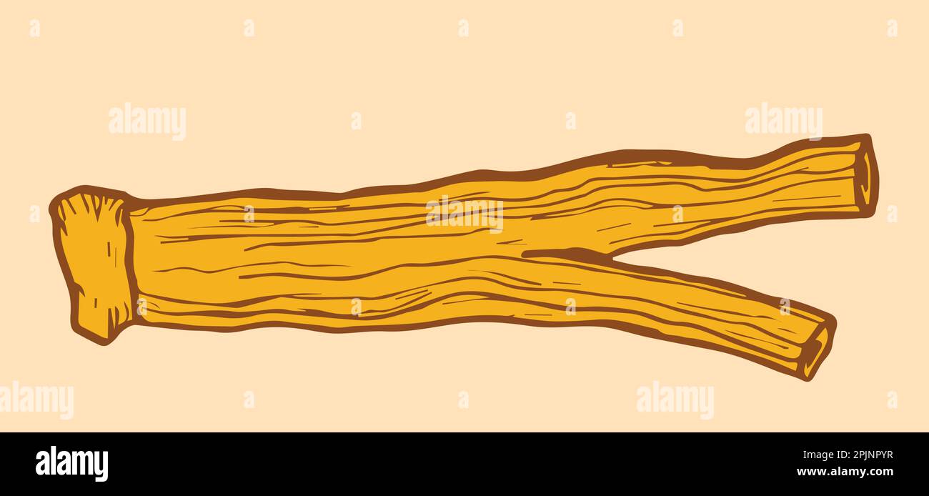 Dried korean ginseng root illustration. Ginseng root symbol in hand drawing style. Chinese