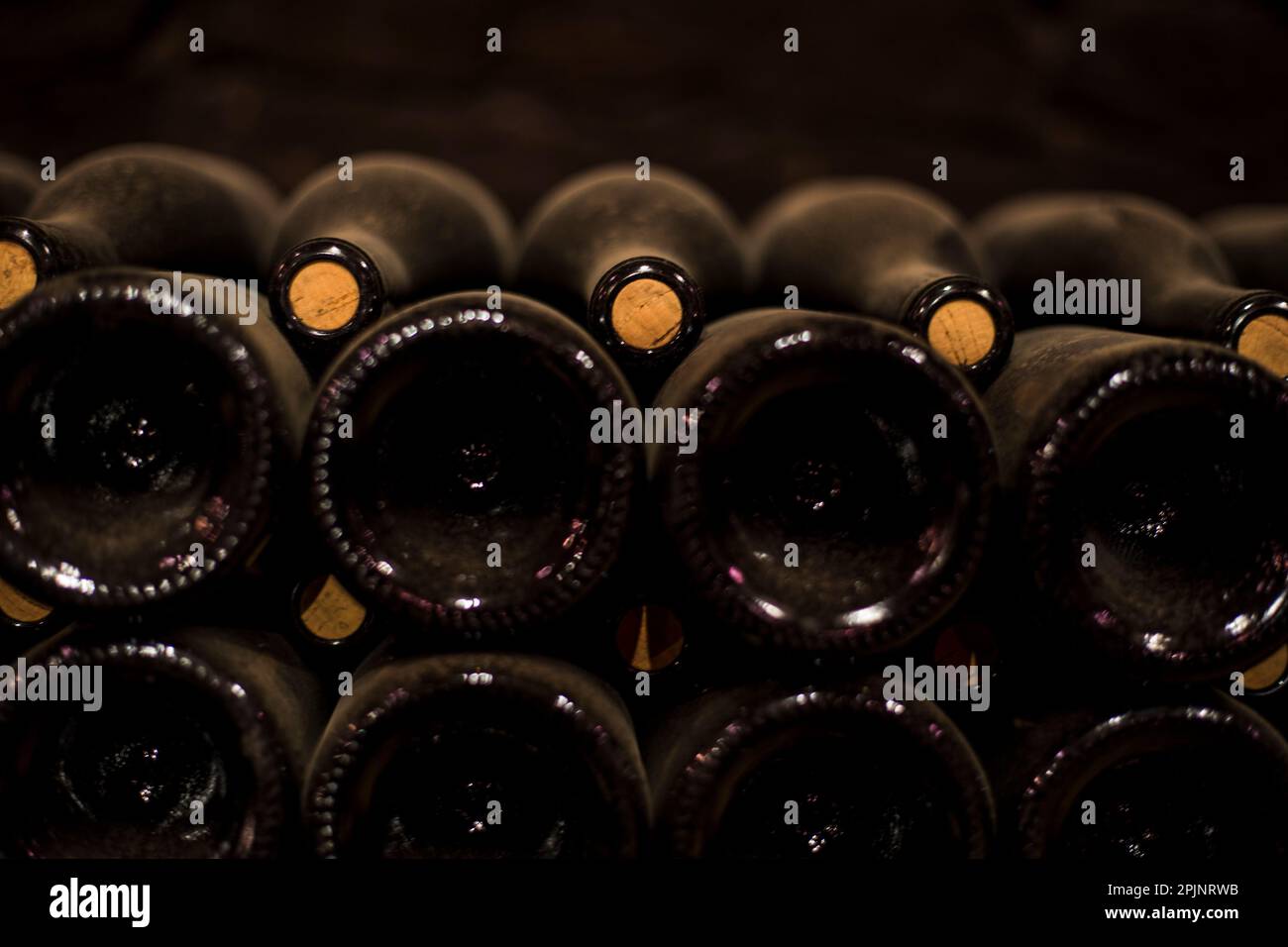 Bottle in a winecellar in Burgundy Stock Photo