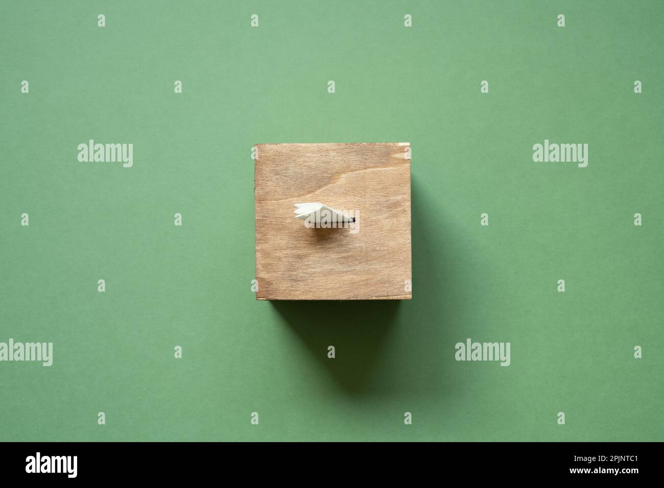 Wooden ballot voting box isolated on green background. top view Stock Photo