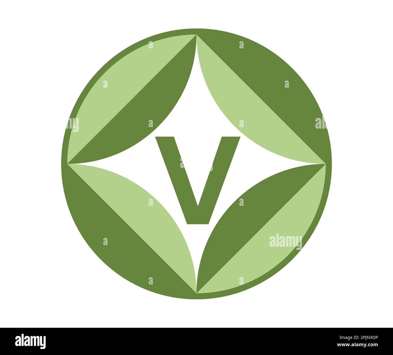 Vegan label with leaves and letter V inside circle. Vegan symbol