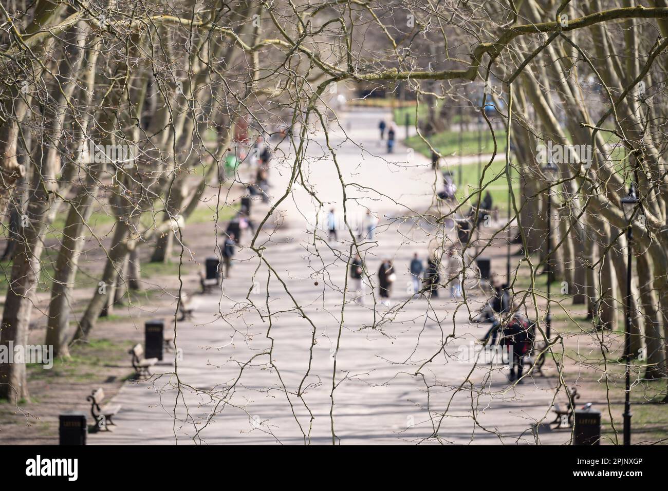Half-term visitors enjoy a tree-lined avenue in Crystal Palace Park, on 3rd April 2023, in London, England. Stock Photo
