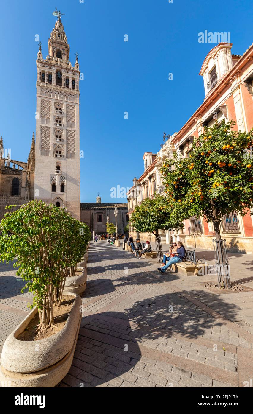 Cathedral Exterior with Seville Orange Trees, Seville, Andalusia, Spain, South West Europe Stock Photo