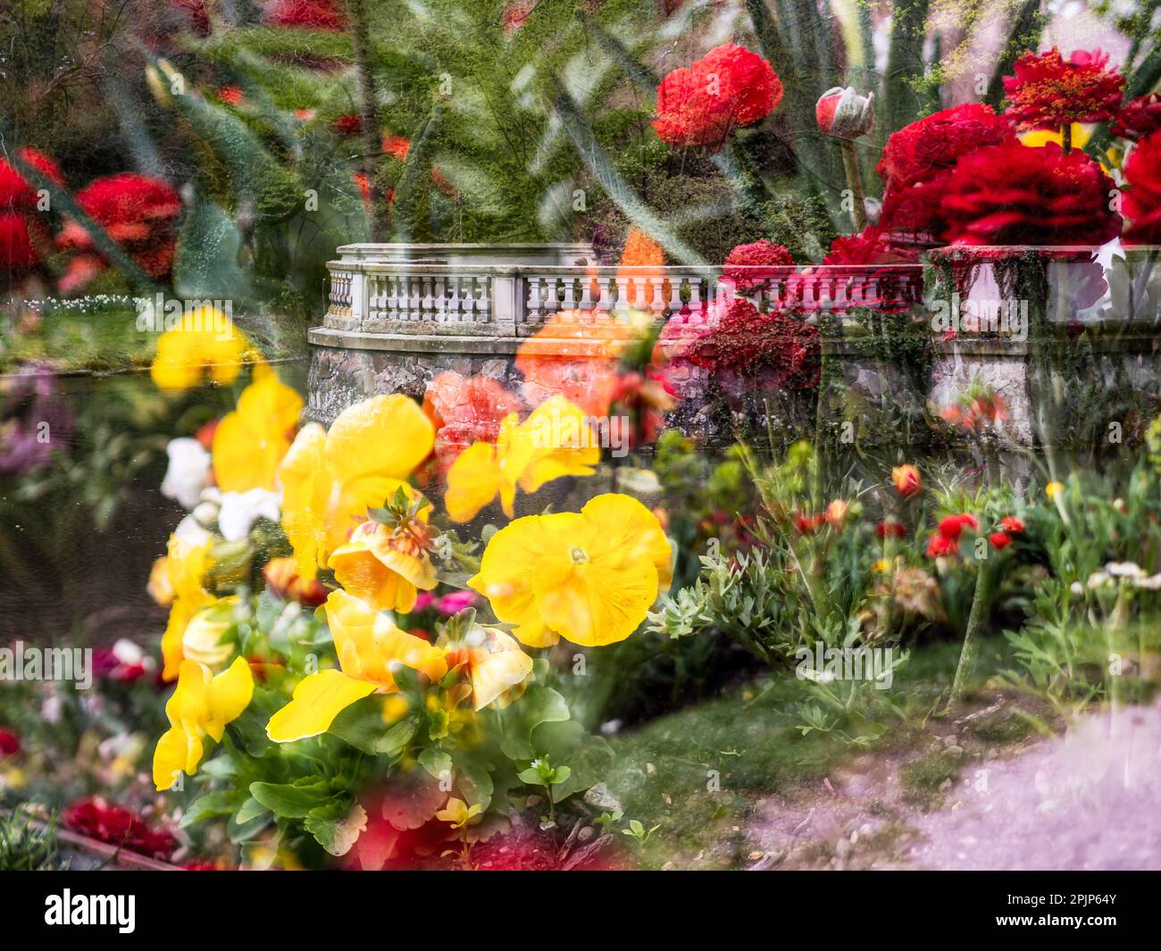 Blooming orangerie park in Strasbourg. Magnolias, tulips, roses. Double