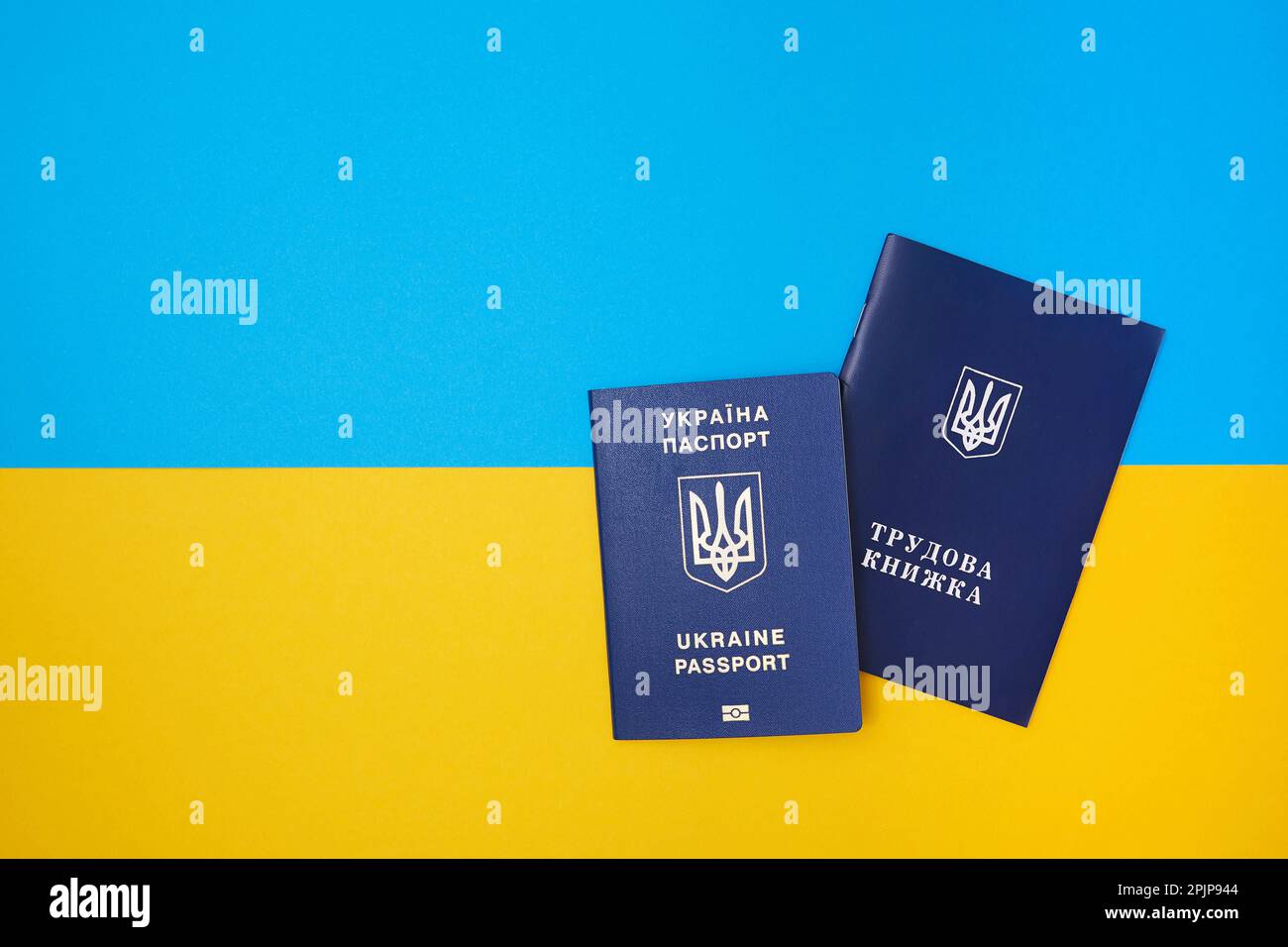 One Ukrainian employment history on the Ukrainian national flag in the