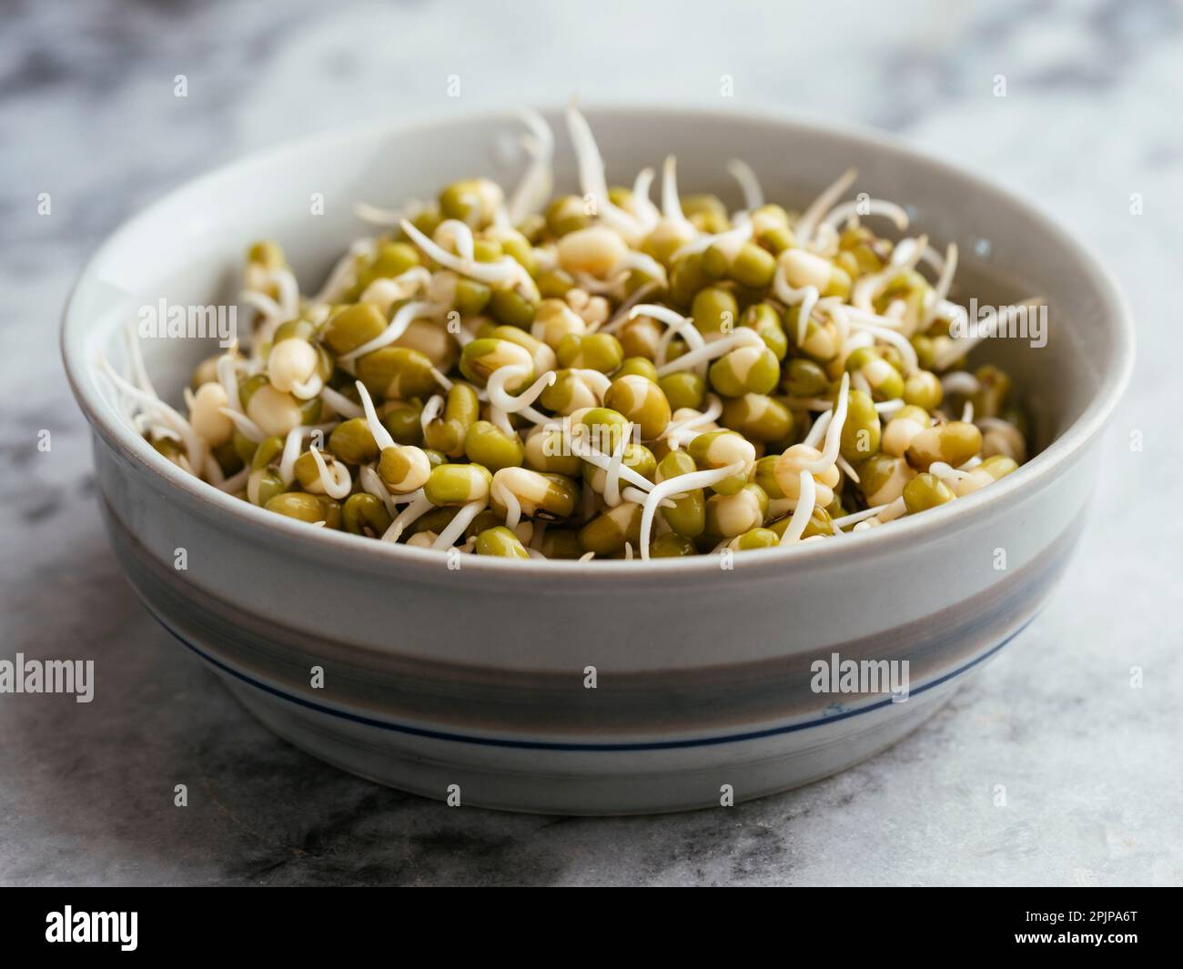 Small bowl with sprouted mung beans. Stock Photo