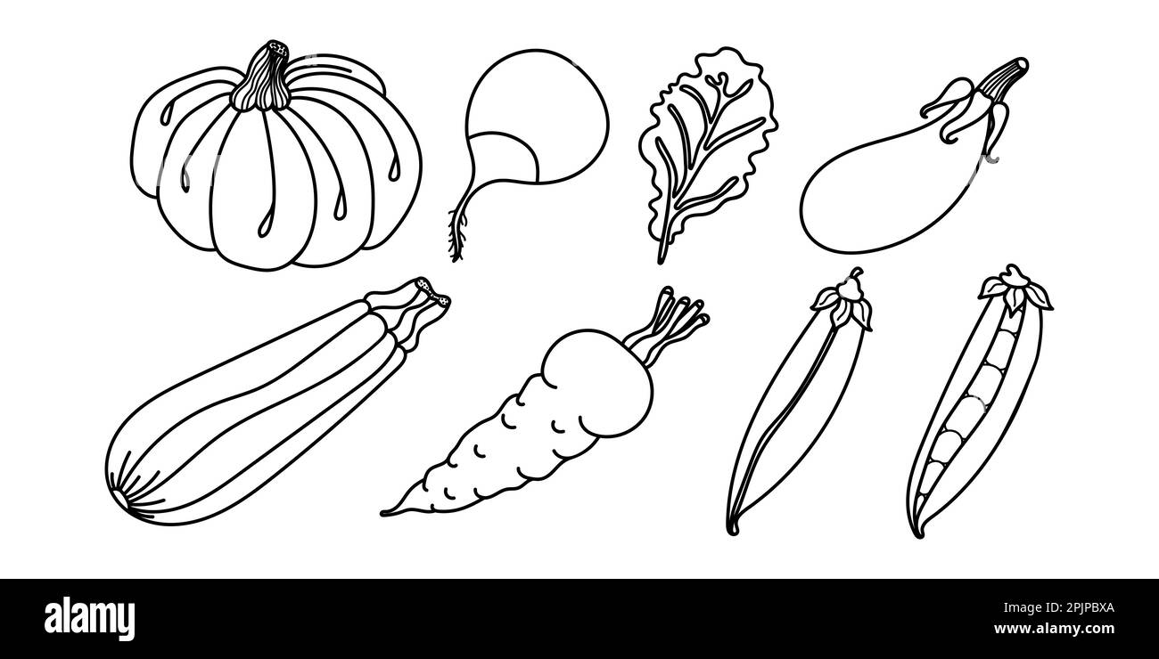 Hand drawn vegetables. Set of icons, hand drawn vegetables. Pumpkin, carrot, pea pod, zucchini squash, leaf, eggplant, radish. For coloring page in ch Stock Vector