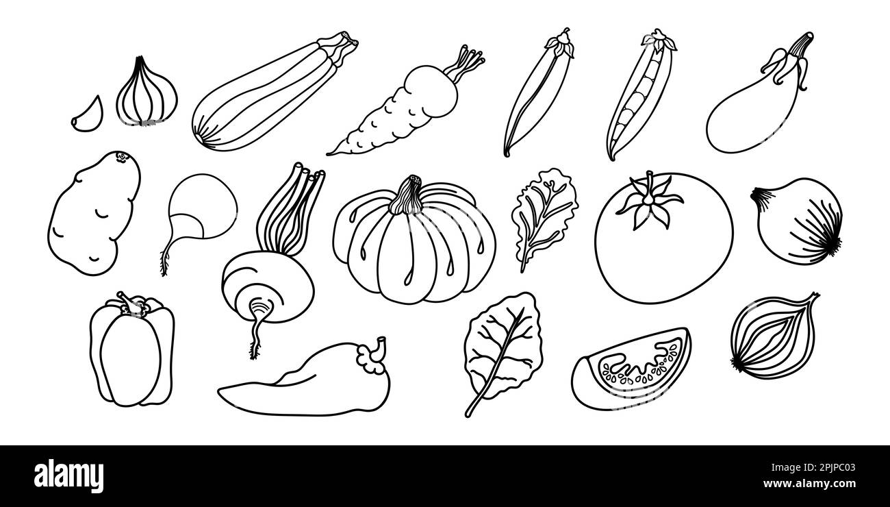 Hand drawn vegetable outlines, perfect for coloring pages in children's