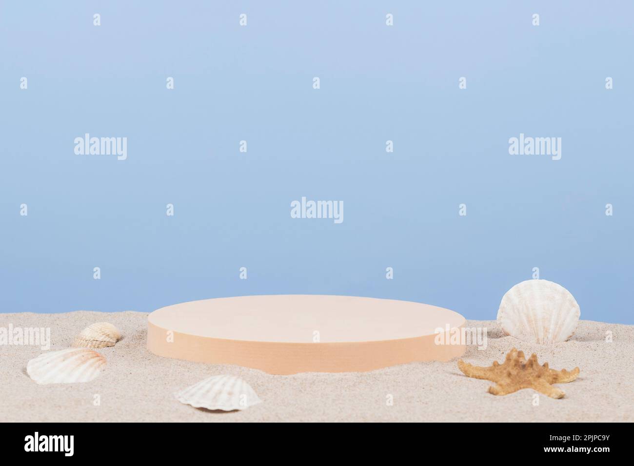 Empty sand beach and shells in front of summer sea background with copy ...