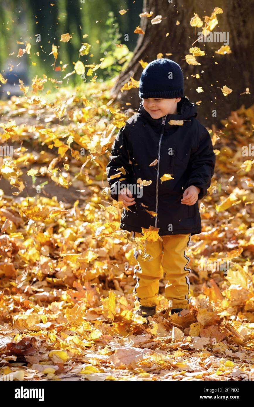 Autumn smiling boy portrait in fall yellow leaves. Little child in woolen hat, beautiful kid in park outdoor, warm clothing for october season. Stock Photo