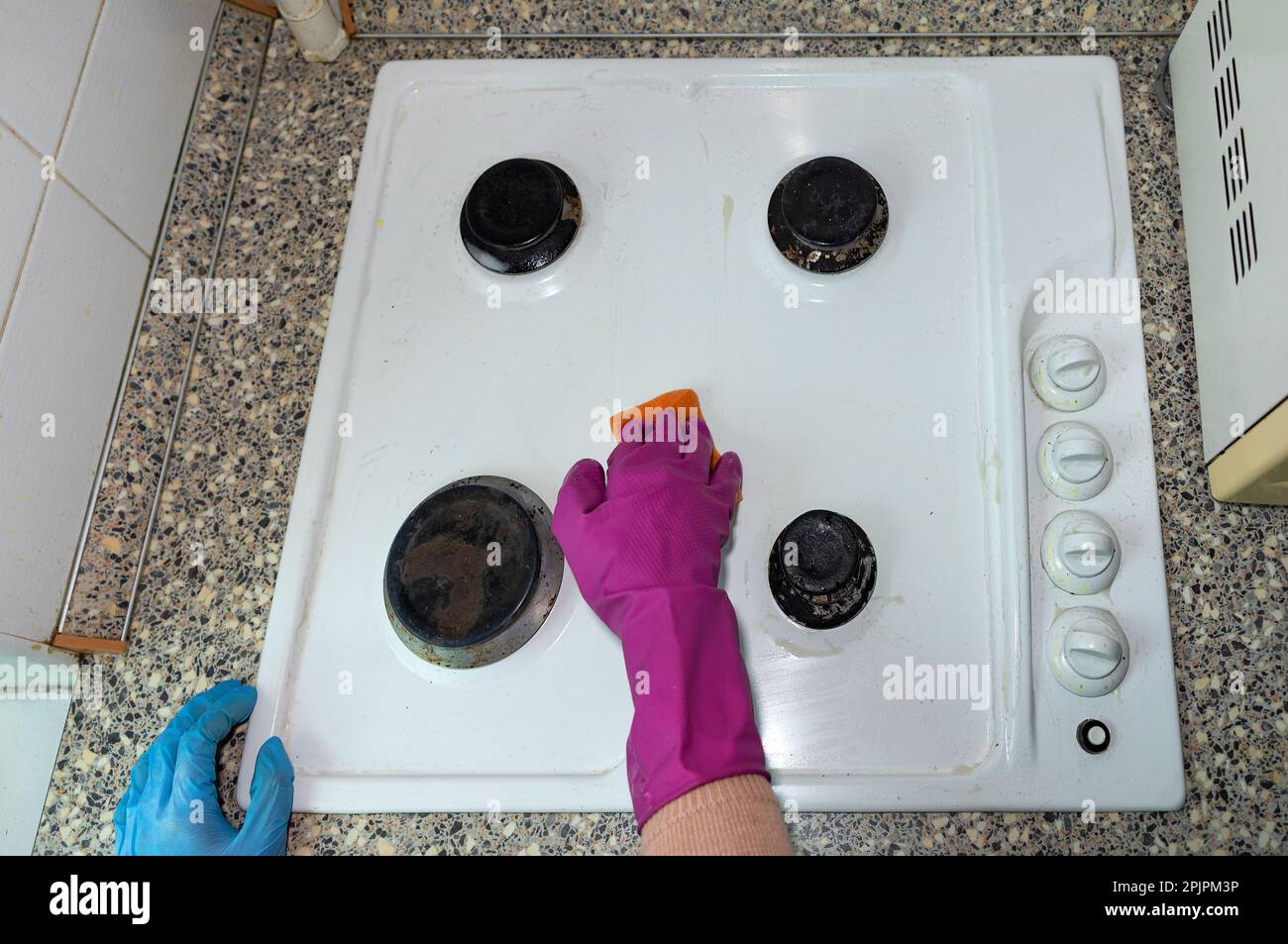 Women's hands in latex gloves wash the gas stove in the kitchen. Stock Photo