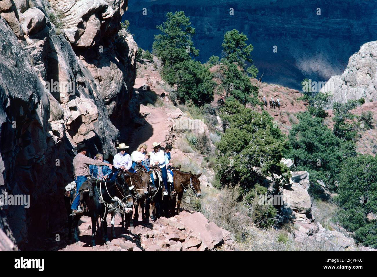 Grand Canyon of the Colorado, Arizona, USA. Tourists riding mules on the South Kaibab Trail Stock Photo