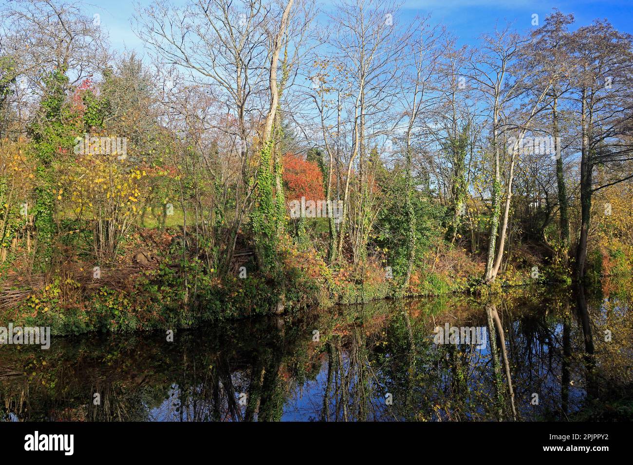 Monmouthshire and Brecon canal with autumn colours and reflections. Taken October 2022. Autumn Stock Photo