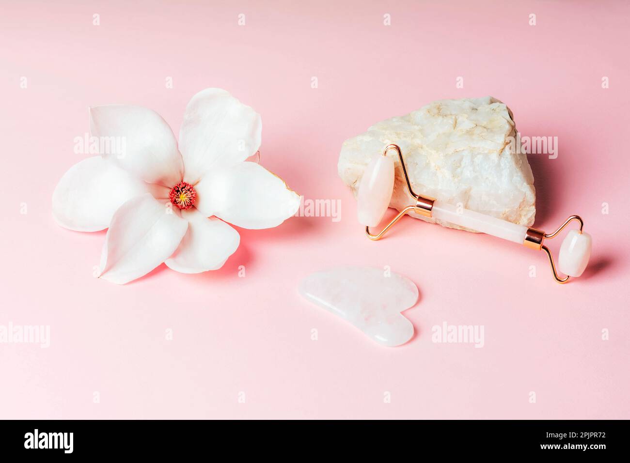 Rose quartz crystal facial roller and gua sha scraper, magnolia flower on pink background. Facial massage kit for lifting therapy . Skin care anti-agi Stock Photo