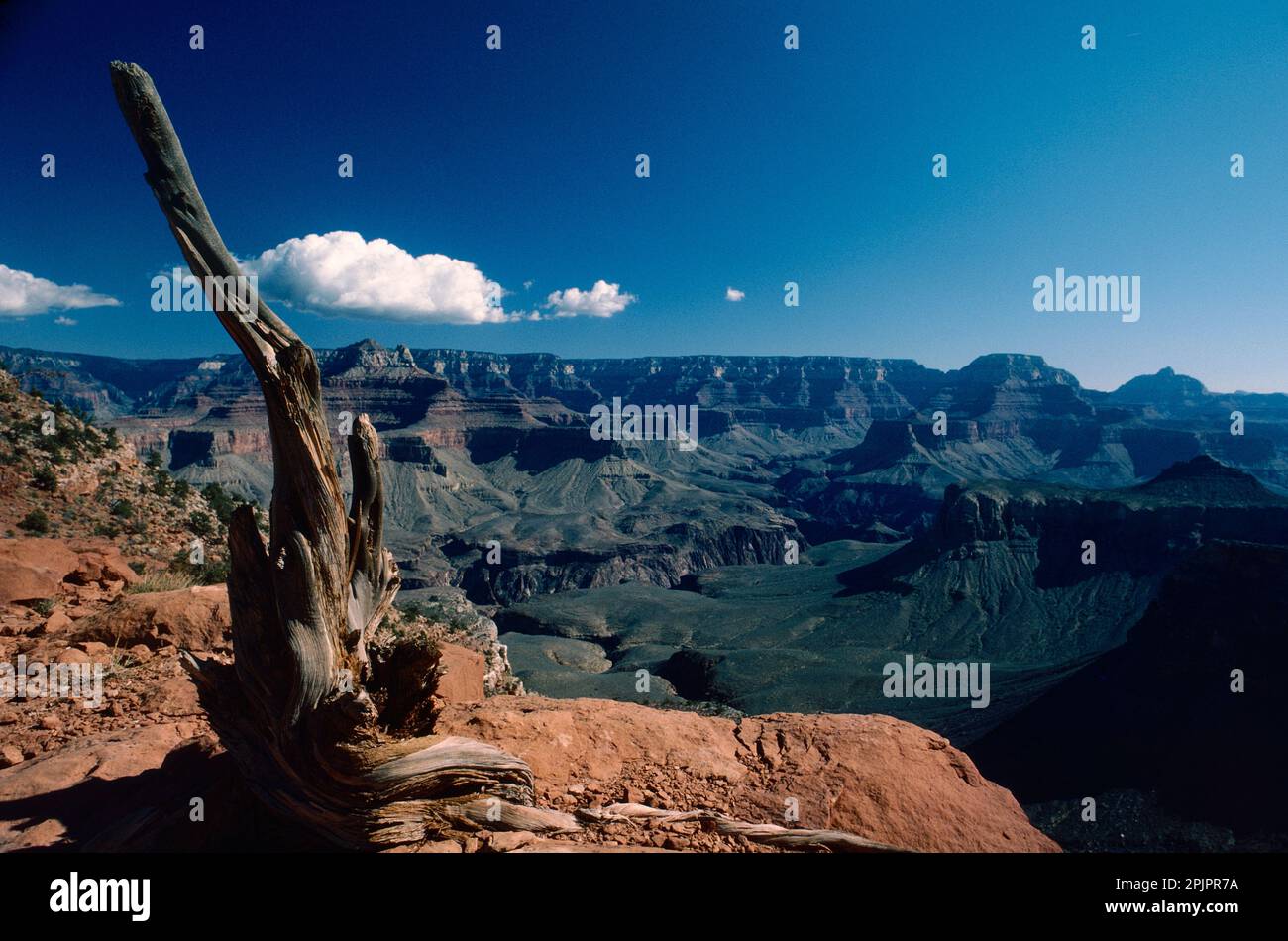 Grand Canyon of the Colorado, View from Cedar Ridge, Arizona Stock Photo