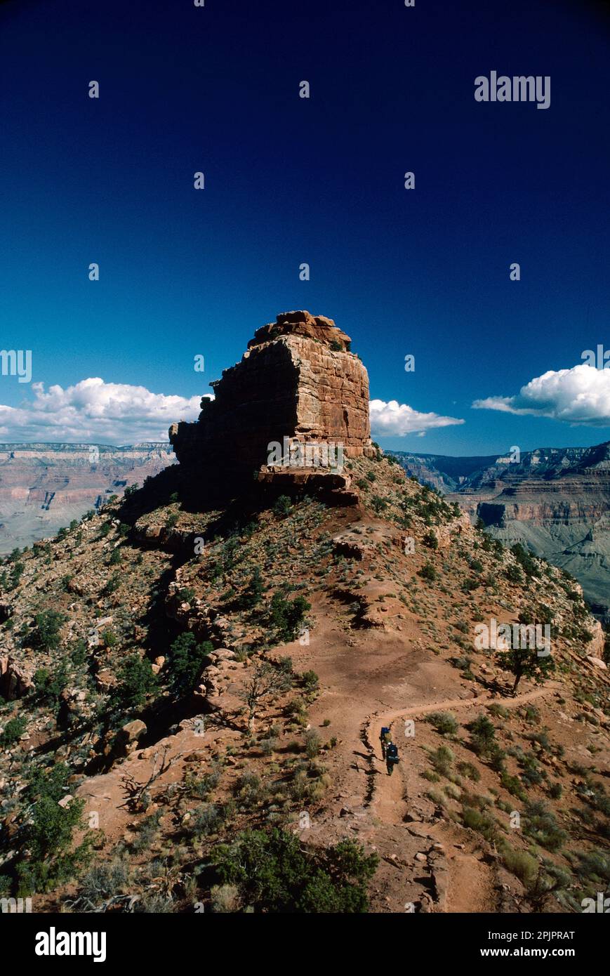 Grand Canyon of the Colorado, Arizona, View of the Pinnacle from Cedar Ridge Stock Photo