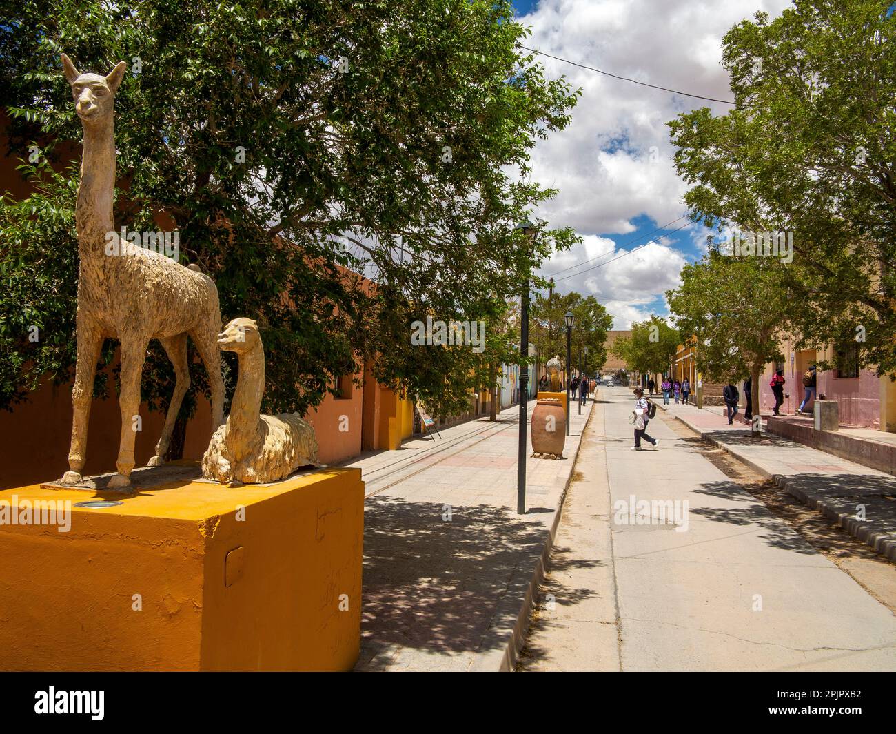 San Antonio de Los Cobres town at 3800 meters ASL, Andes Mountains