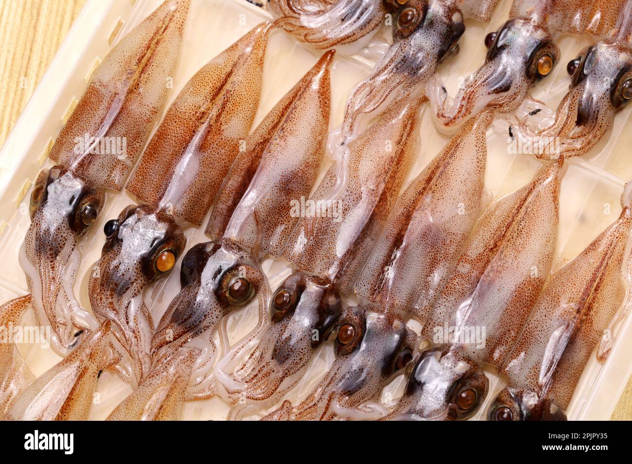 firefly squid ( hotaru ika ), Japanese cuisine ingredient Stock Photo