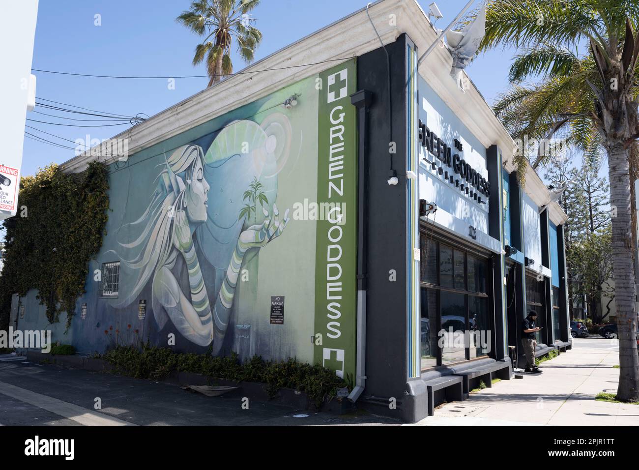 Los Angeles, California, USA. 25th Mar, 2023. The Green Goddess marijuana dispensary. Recreational THC cannabis is legal in California despite being illegal on a federal level as a schedule one narcotic drug. The neighborhood is being labeled by real estate brokers and speculators as ''Silicon Beach'' to cater towards tech workers and venture capitalists to pay higher rents and property values, gentrification. Real estate, California politics, Southern California, Gavin Newsom, Bass, real estate, housing shortage, interest rates, silicon valley, tech industry, silicon beach, afford Stock Photo
