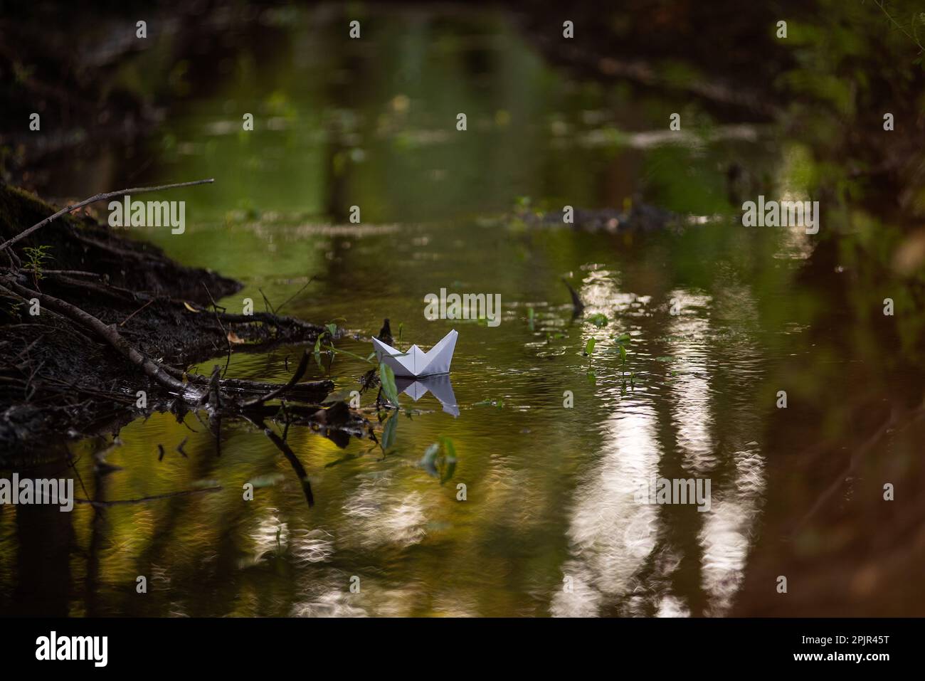 Simple, white, paper boat floats along small river in green forest. Hobby origami. The concept of loneliness, freedom, travel. The beauty of nature, s Stock Photo