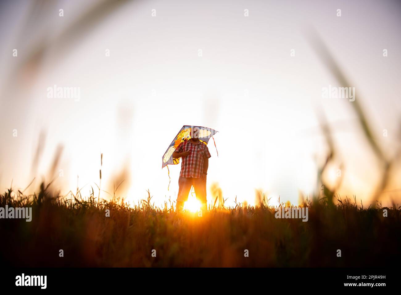 In the rays of the sunset sun, bald man with glasses with kite in the field. Father plays with children in rural areas. View through the ears of the m Stock Photo