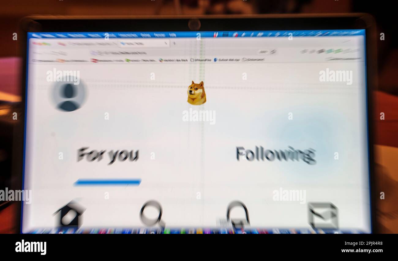 Bird Vs Doge: Unveiling Twitter's Controversial Logo Change