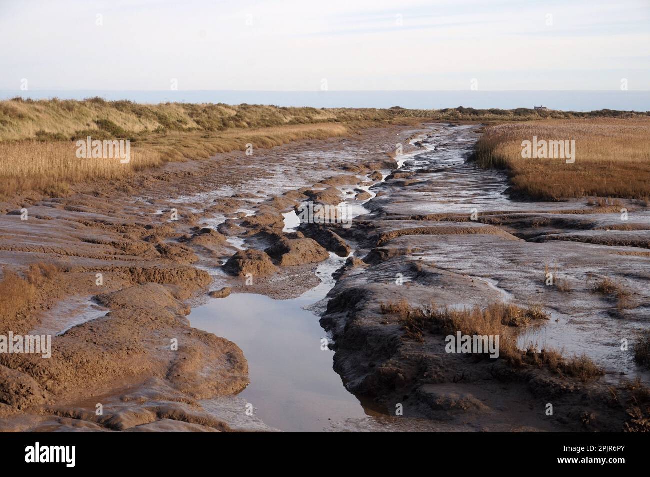 Wetland habitat at Titchwell Marsh, Norfolk Coast, England Stock Photo