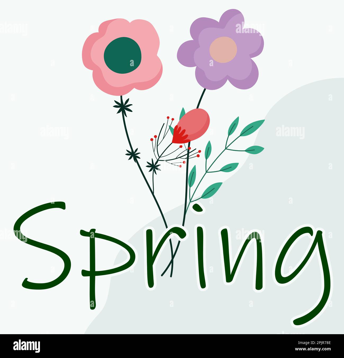 two flowers and the word spring, spring season card, purple flower and orange flower with green leaves, spring flowers minimalist style Stock Photo
