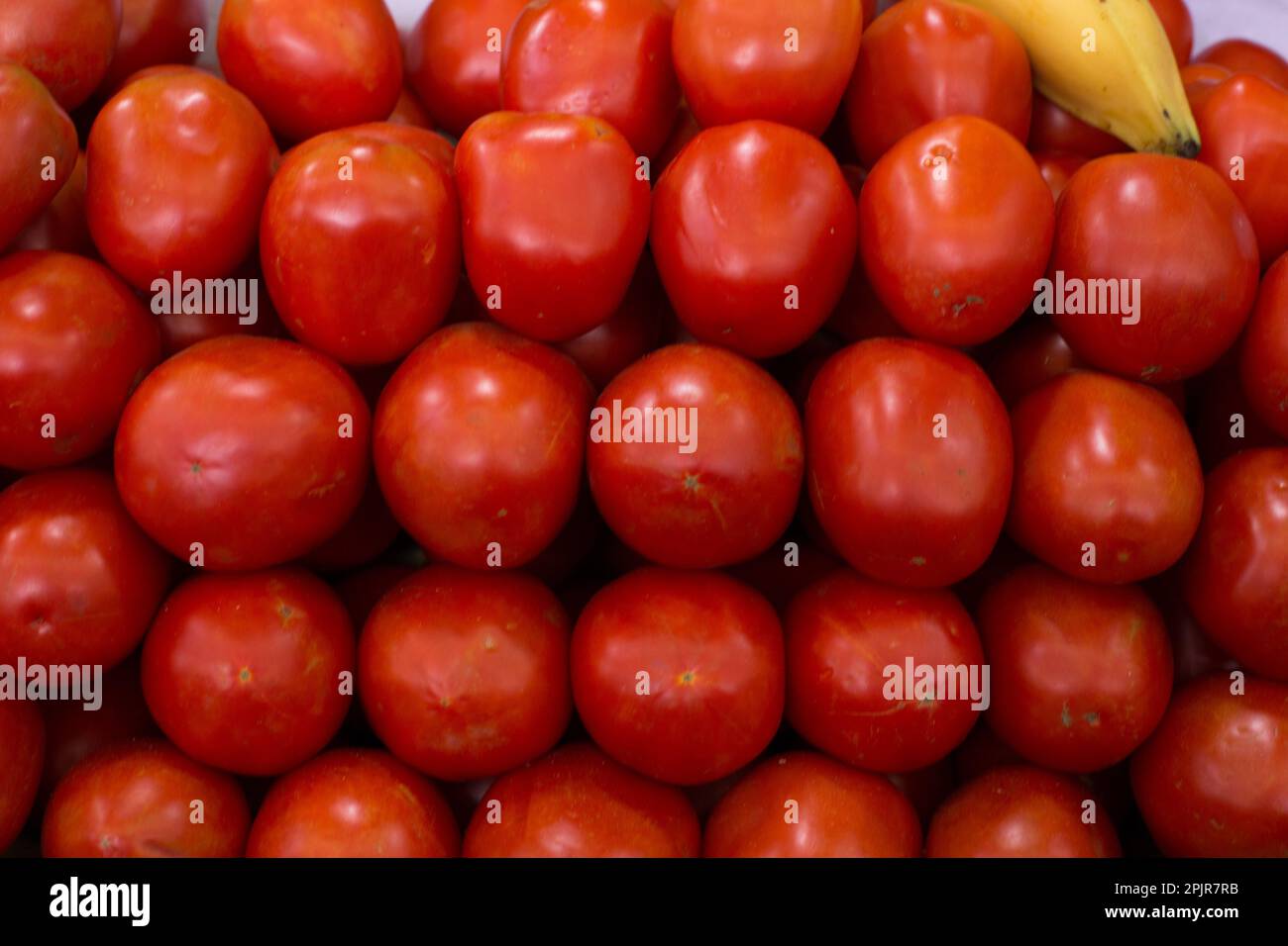 Red tomatoes Fruits and vegetables from Peru Stock Photo Alamy