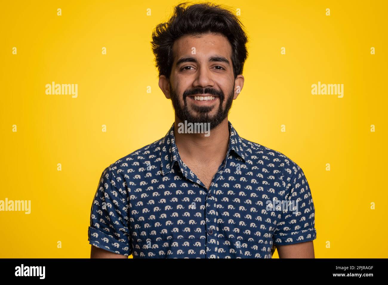 Portrait of happy calm indian man smiling friendly, glad expression looking away dreaming resting, relaxation feel satisfied concept good news, celebrate win. Hindu guy on studio yellow background Stock Photo