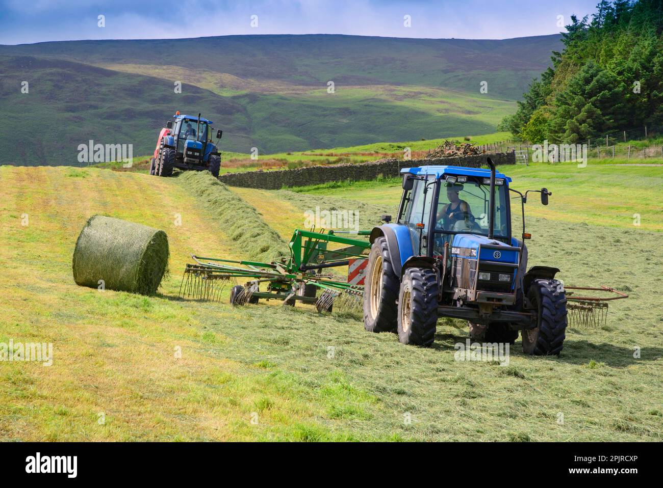 Tractors rowing and baling hay in the field, chopping, Forest of